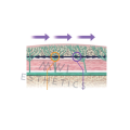 Licellvi_MOLDING_COG_LIFTING_type_S_